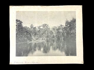 Large Collotype Print Ocklawaha River, Florida,  The Albertype Co., NY