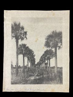 Large Collotype Palmetto Avenue Fort George Island Florida The Albertype Co. NY