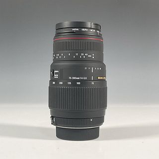 Sigma APO DG Macro Telephoto Zoom Lens with Hoya Filter