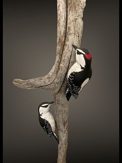 Pair of Carved Woodpeckers on Branch Phillip Eugene Brown (American, 1955-2011) Signed Dated 2009