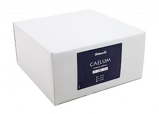 A Factory Sealed Pelikan Caelum Limited Edition Fountain Pen
