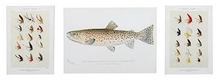 Two Framed Prints, marked Denton Fish 7 1/2 x 10 5/8, Flies: 8 x 5 3/4 inches.