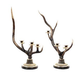 A Pair of English Horn Three Light Candelabra Height 23 5/8 inches.