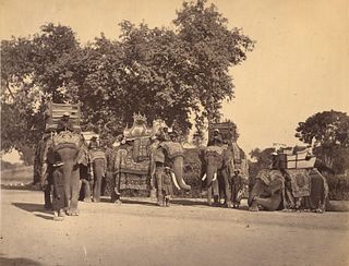 INDIA. A Group of H. E. the Viceroy's Elephants with their State Trappings. C1865.