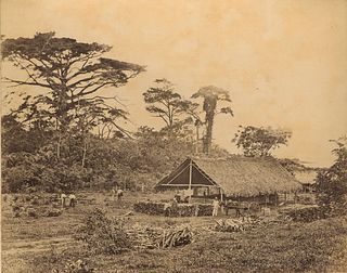TRINIDAD. A Cane Shed on a Sugar Estate, Trinidad, West Indies. c1880