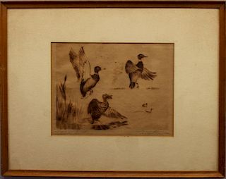 Antique "Pitching Ducks" Etching, Signed