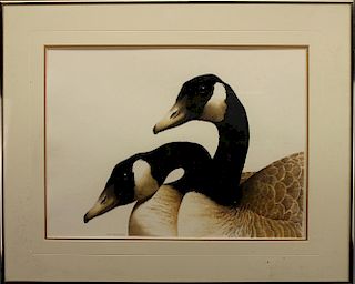 Roy Thompson Watercolor of Ducks