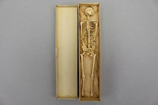 Diminutive Bone Skeleton in Box