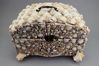 Sea Shell Jewelry Box
