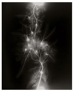 Hiroshi Sugimoto, Lightning Fields-011, 2007, Limited Edition Of 360