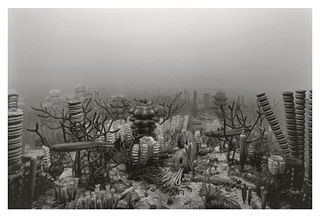 Hiroshi Sugimoto, Permian Period, 1992