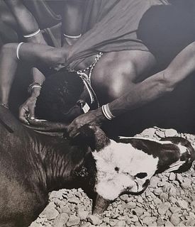 Herb Ritts, Maasai Warrior Cow Ceremony, Drinking Blood, 1994