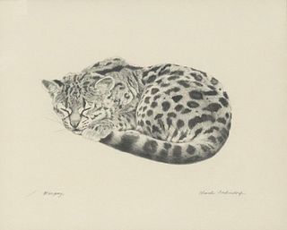 CHARLES BECKENDORF (1930-1996) PENCIL DRAWING MARGAY WILD CAT