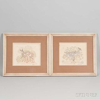 Two Framed Silk Screen Prints by Harrison Begay