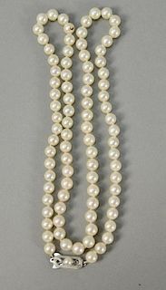 Single strand of pearls with 14K white gold Mikimoto clasp marked with M and 14K. 6.2mm, lg. 23 1/2in.