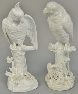 Pair of German porcelain parrots on tree stumps Blanc de Chine with blue crossed swords mark on bottom, impressed A. Heingle 