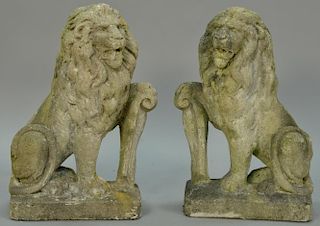 Pair of cement lions. ht. 20in.