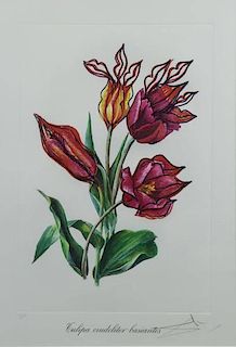DALI, Salvador. Embossed Lithograph "Tulipa