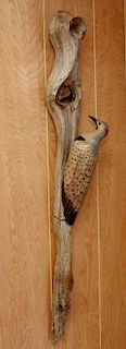 CARVED WOOD WOODPECKER ON DRIFTWOOD WALL MOUNT
