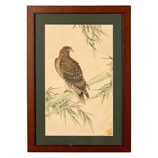 Original Chinese Ink and Color on Paper, Eagle, Signed