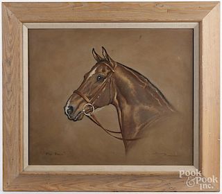 Ninetta Butterworth (British b. 1922), oil on canvas horse portrait of Mrs. Bruin, signed lower righ
