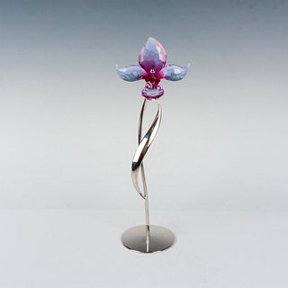 Swarovski Crystal Figurine, Dorora Fuchsia Rain