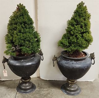 2 Metal Urns with Live Plants