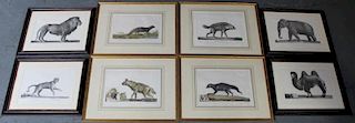 2 Sets of Framed Animal Prints.