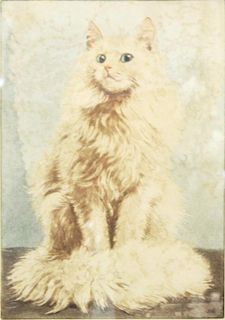 Meta Pluckebaum (German, 1876-1945)- Cat Etching