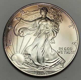 2006 American Silver Eagle