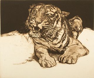 Jack Coughlin (American, B. 1932) Etching on BFK Rives Paper, "Tiger", H 7.25" W 8.75"