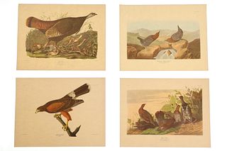 John James Audubon Lithograph NW Mutual Collection