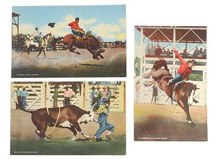 R. R. Doubleday Rodeo Postcard Collection