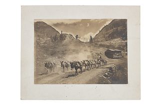 1880's Montana Territory Mining Burro Team Photo