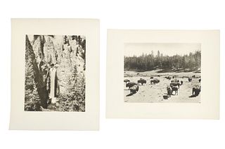 Two F. J. Haynes Original Yellowstone Photos (2)