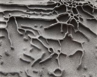 Edward & Cole Weston "Sandstone Erosion" GSP