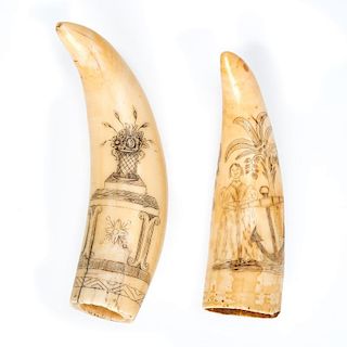 (2) sailor's scrimshaw decorated teeth