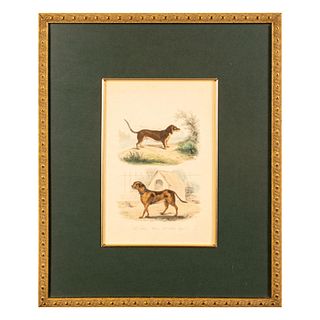 Original Hand Colored Lithograph on Paper, Two Dogs