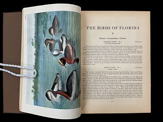 The Birds of Florida by Harold H. Bailey Limited Edition 1925 with 76 Color Plates and Map
