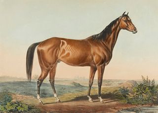 Currier & Ives "Celebrated Horse Lexington" Print
