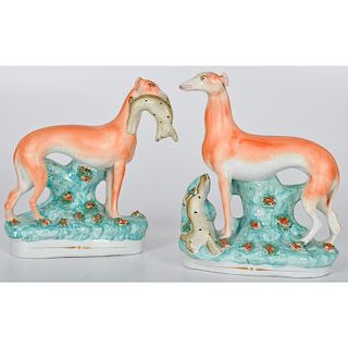 Staffordshire Whippets