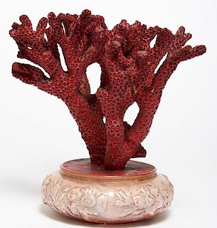 Large Branch Coral Tabletop Specimen Painted Red