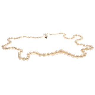 Graduated Cultured Pearl, Silver Necklace