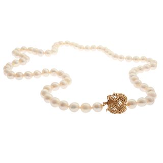 South Sea Cultured Pearl, 14k Yellow Gold Necklace