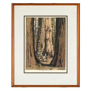 Luigi Kasimir (1881-1962)., Riders, Giant Sequoia