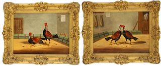 Pair Antique Fighting Cock English School Painting