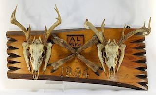 Taxidermy Deer Skull & Hooves Hunting Trophy