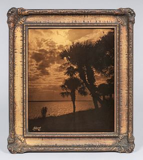Richard H. LeSesne Gold Tone Photograph Coastal Sunset Palm Trees c1910