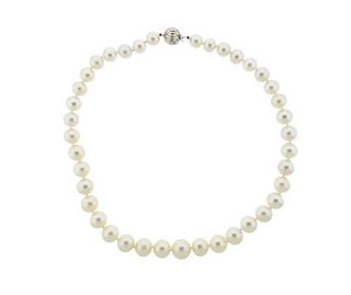 14K Gold South Sea Pearl Necklace