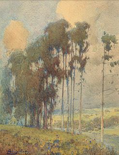 Percy Gray (1869-1952) Watercolor California Eucalyptus 1915